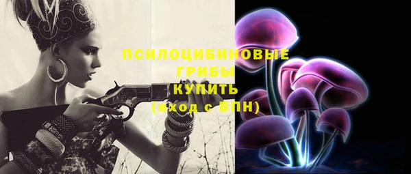 spice Бронницы