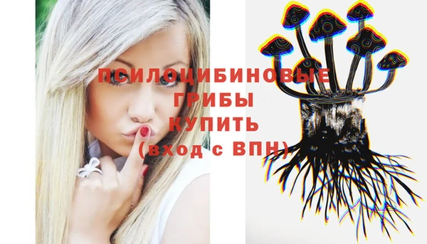 скорость Бородино