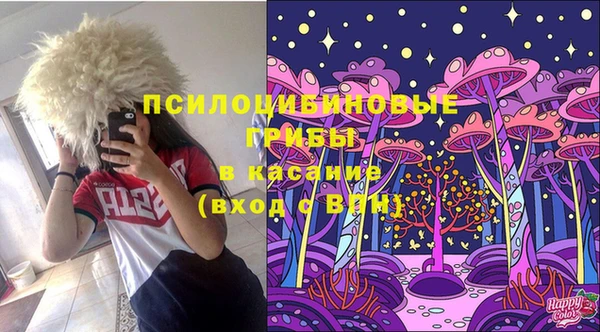 spice Бронницы