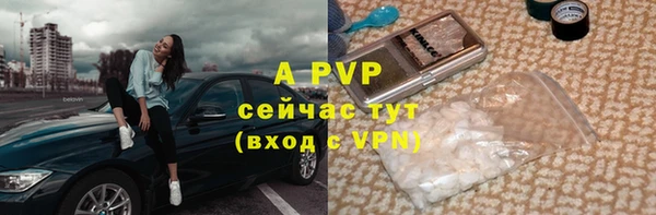крисы Новодвинск